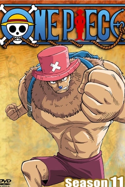 One Piece - Season 11 [Sub: Eng]