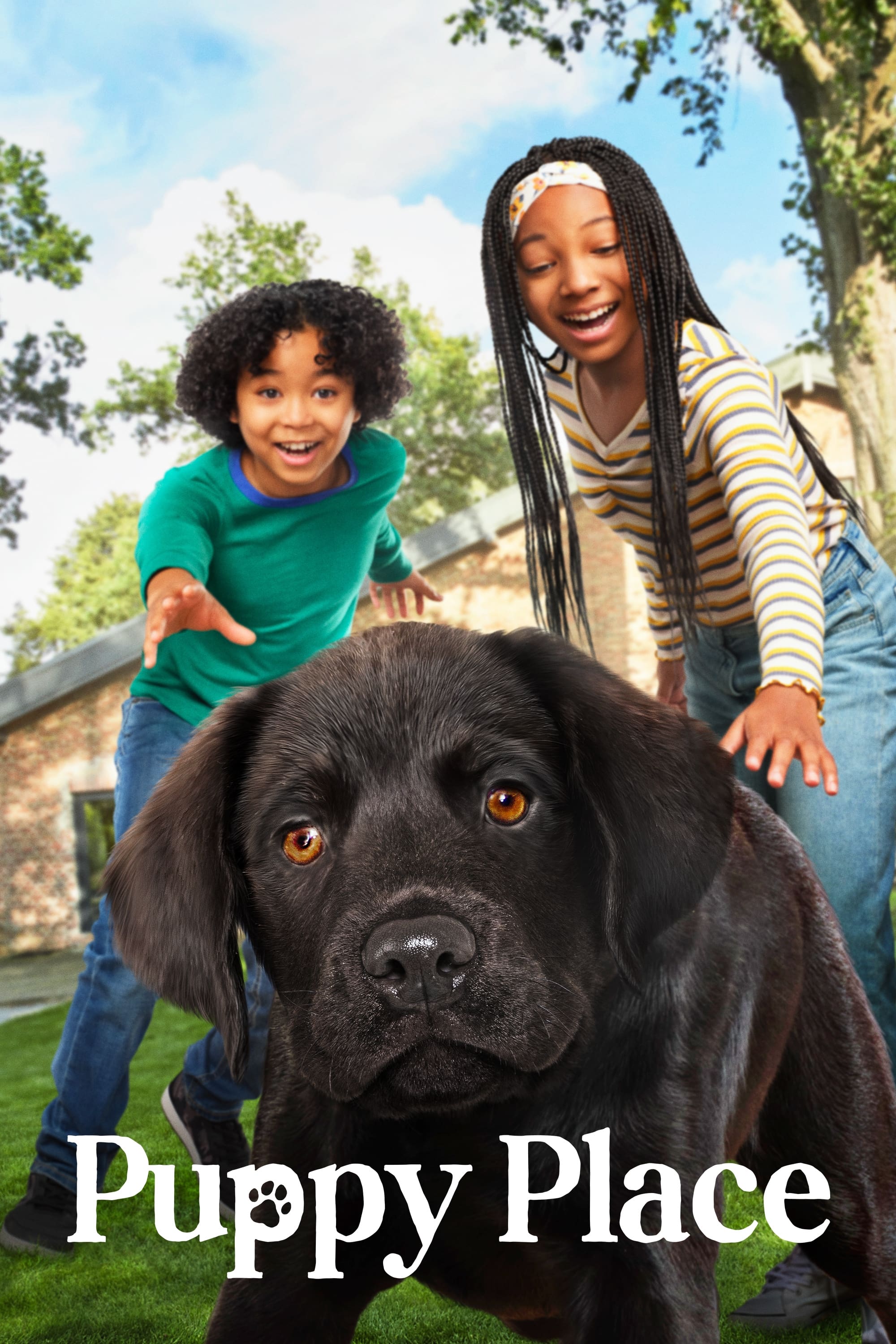 Puppy Place - Season 2