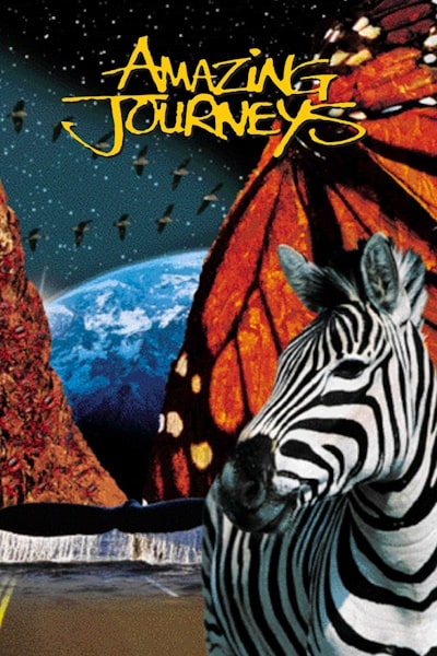 Amazing Journeys