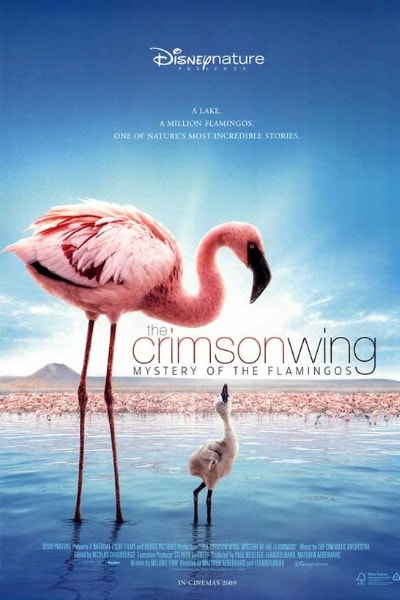 The Crimson Wing: Mystery of the Flamingos