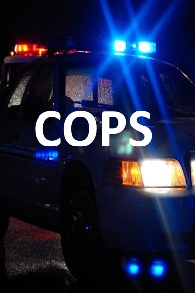Cops - Season 16
