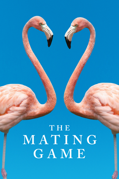 The Mating Game - Season 1