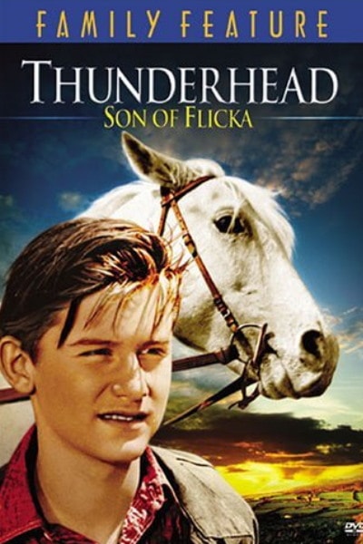Thunderhead: Son of Flicka