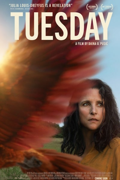 Tuesday (2024)