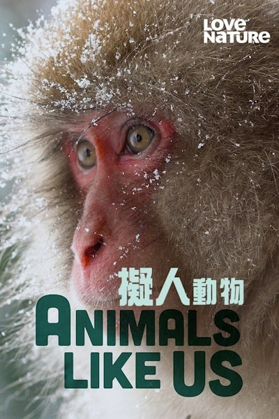 Animals Like Us - Season 1
