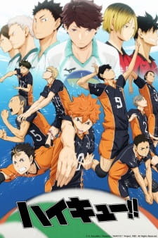 Haikyuu! - Season 1 [Audio: Eng]