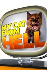 My Cat From Hell - Season 7