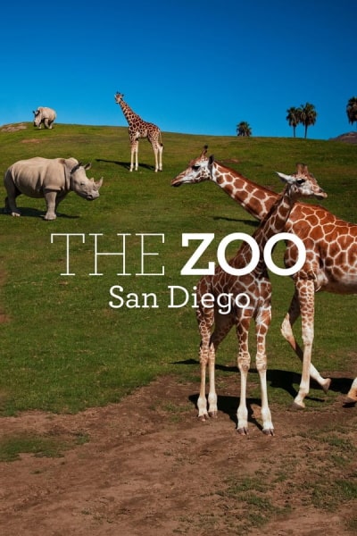 The Zoo: San Diego&nbsp;- Season 1