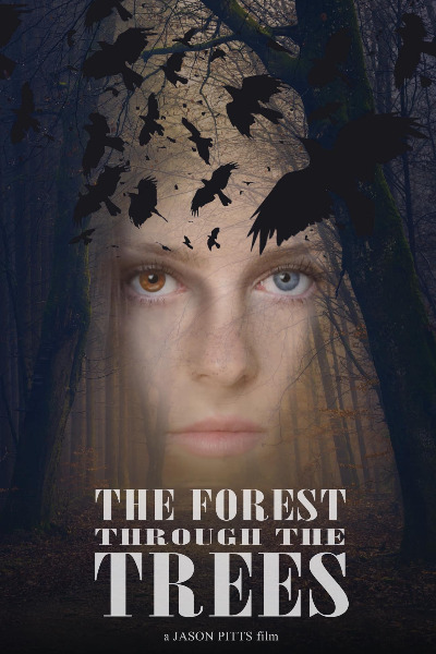 The Forest Through the Trees