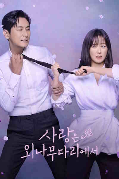 Love Your Enemy (Sarangeun Oenamudarieseo) - Season 1