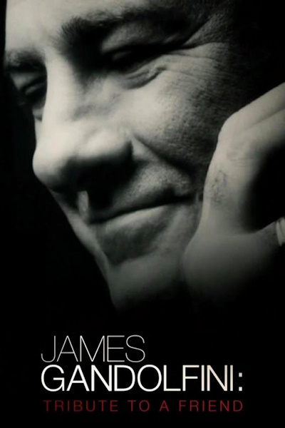 James Gandolfini Tribute to a Friend