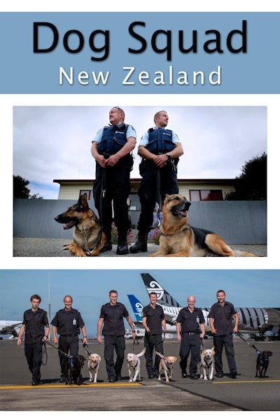 Dog Squad - Season 10
