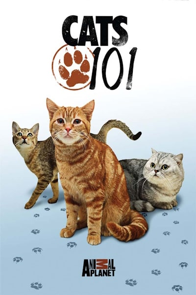 Cats 101 - Season 1