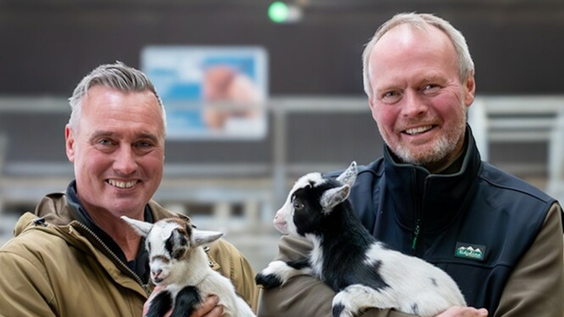 Season 8