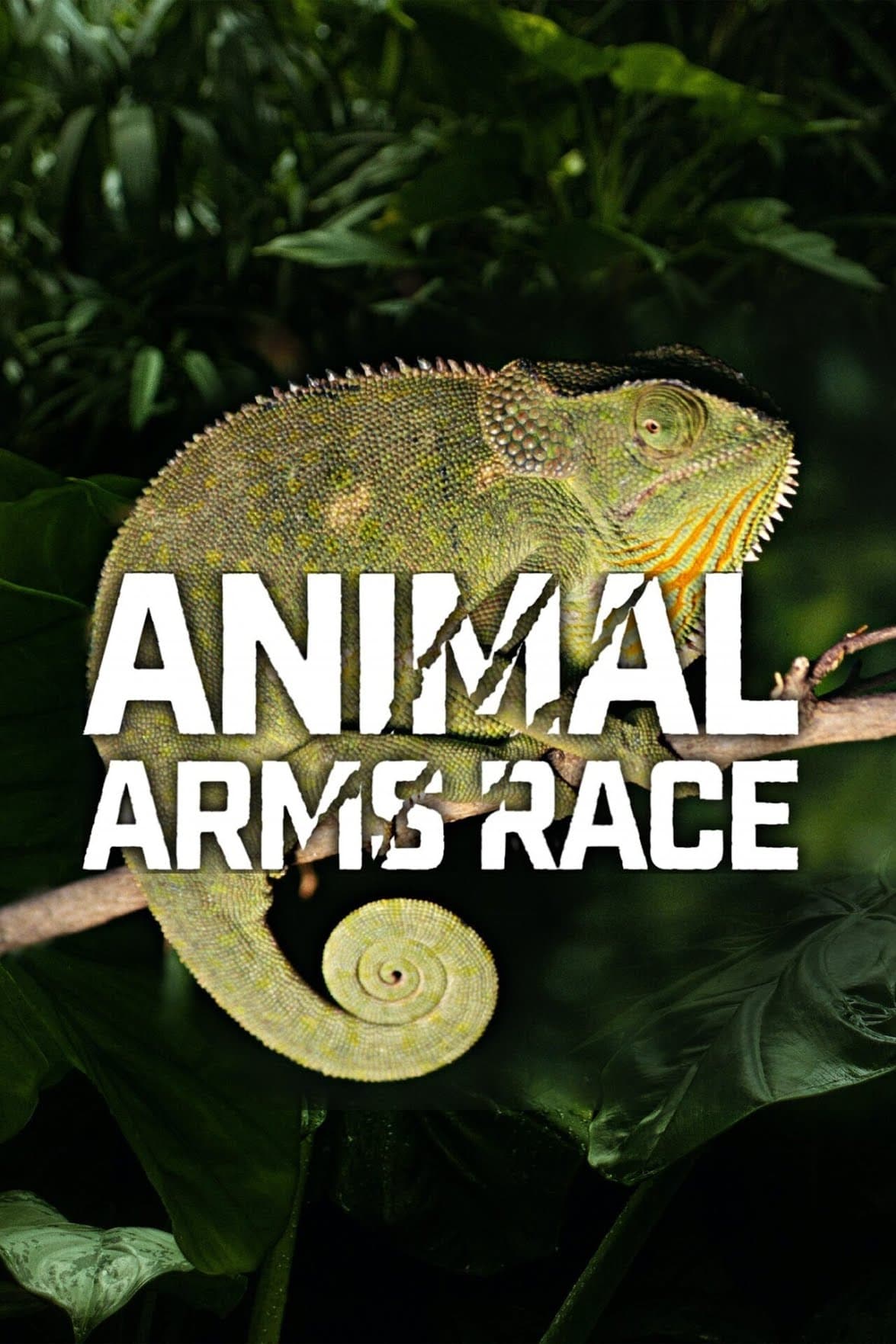 Animal Arms Race - Season 1