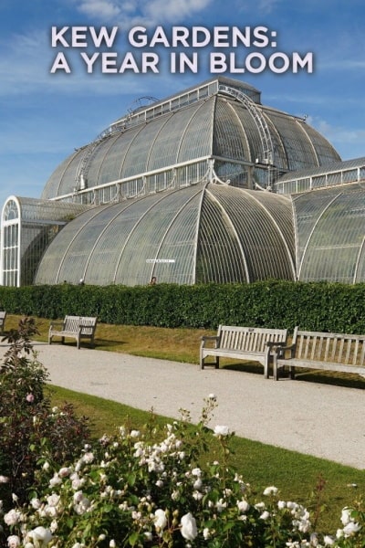 Kew Gardens: A Year in Bloom - Season 1