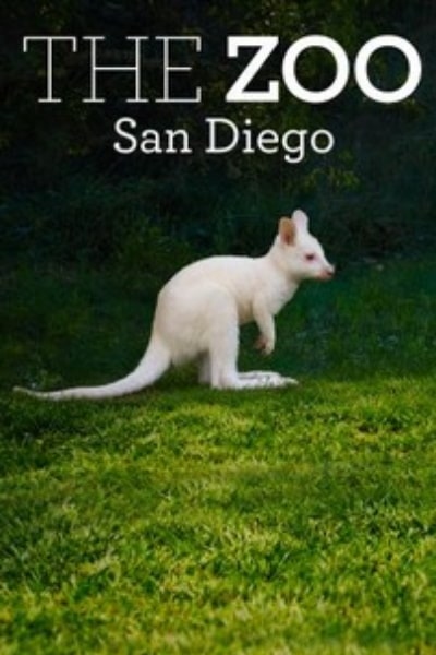 The Zoo: San Diego&nbsp;- Season 2