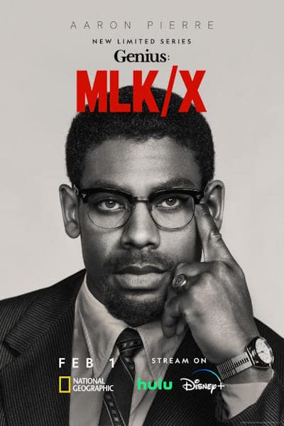 Genius - Season 4