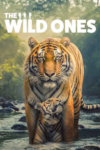 The Wild Ones - Season 1