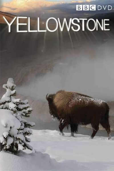 Yellowstone: Battle for Life - Season 1