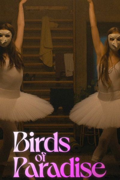 Birds of Paradise