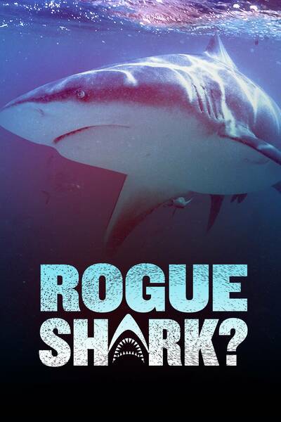 Rogue Shark