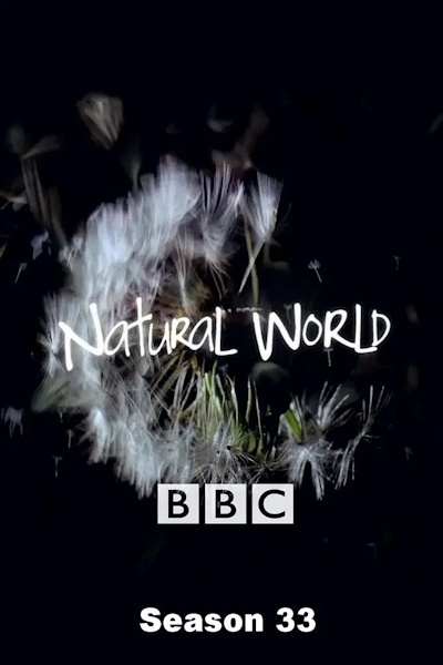 Natural World - Season 33