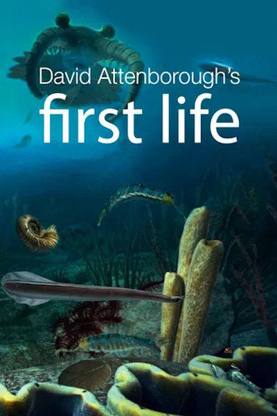 First Life - Season 1