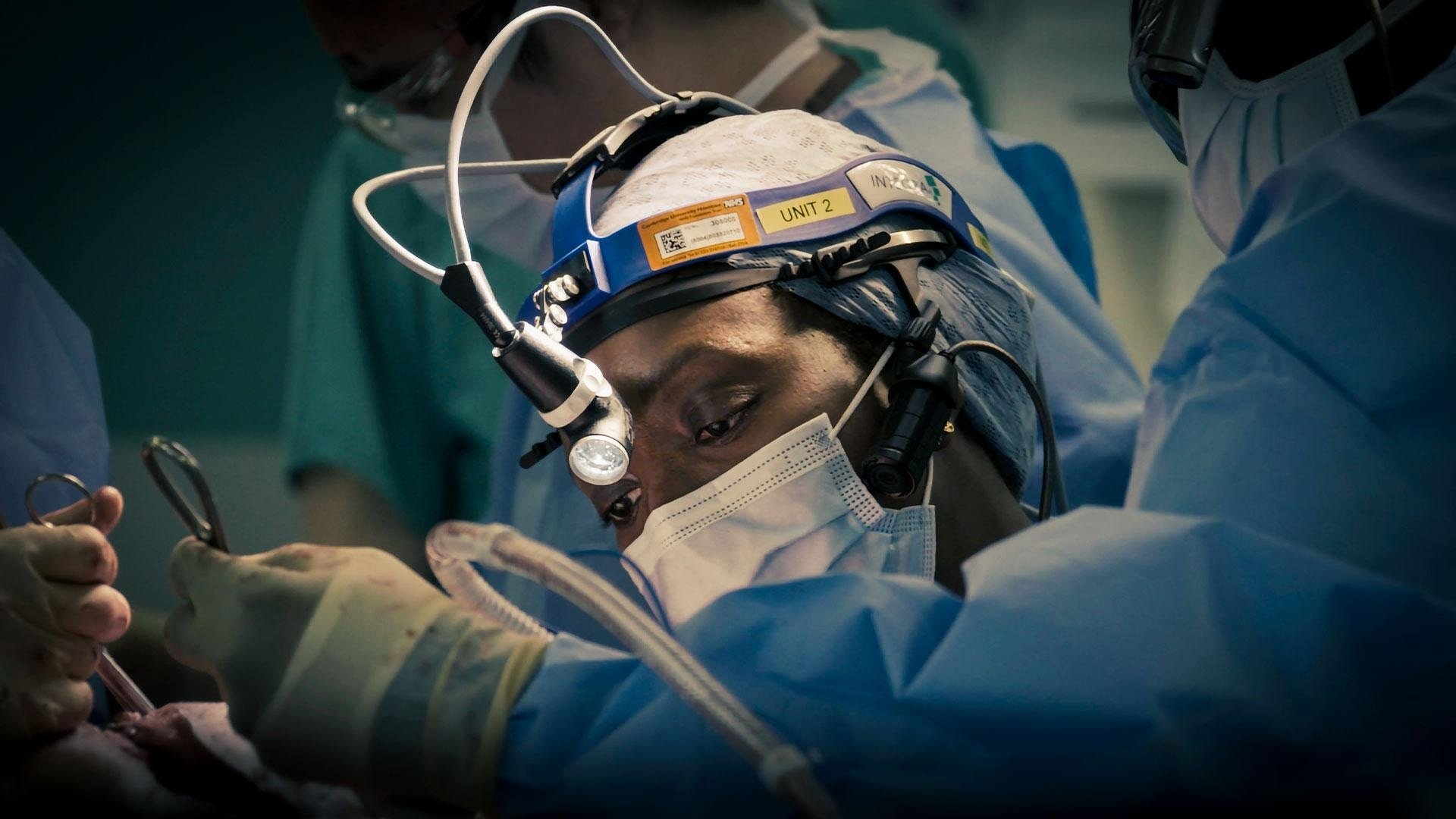 Season 6